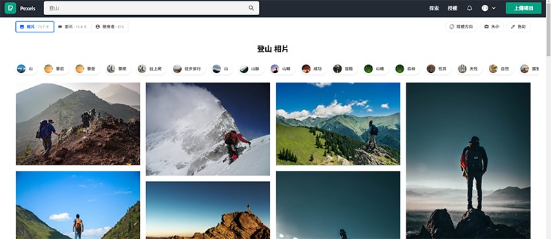 Pexels 圖片搜尋結果頁面。