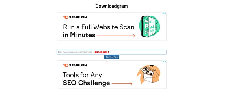 在DownloadGram貼上IG連結。