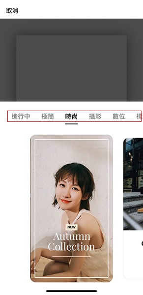排版樣式預覽