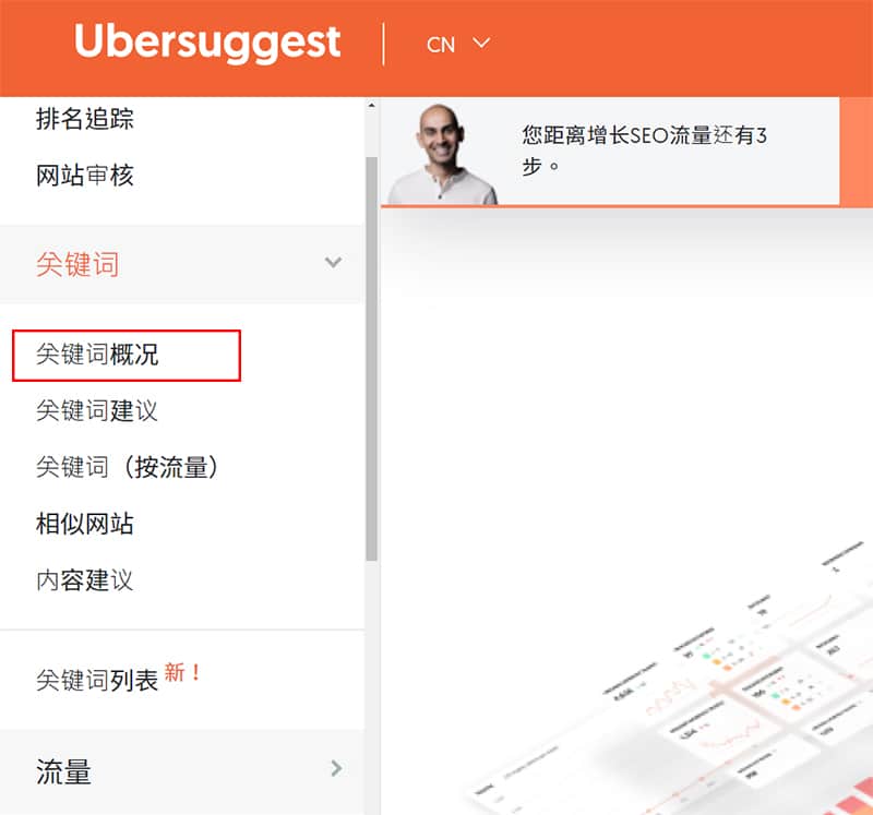 關鍵字概況的位置。
